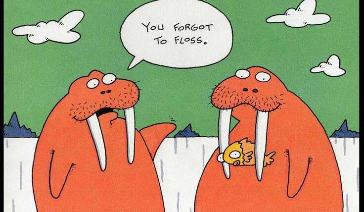 Ortodoncija kroz humor