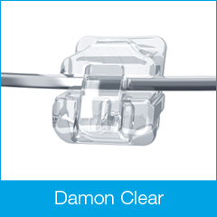 damon-clear-bracket